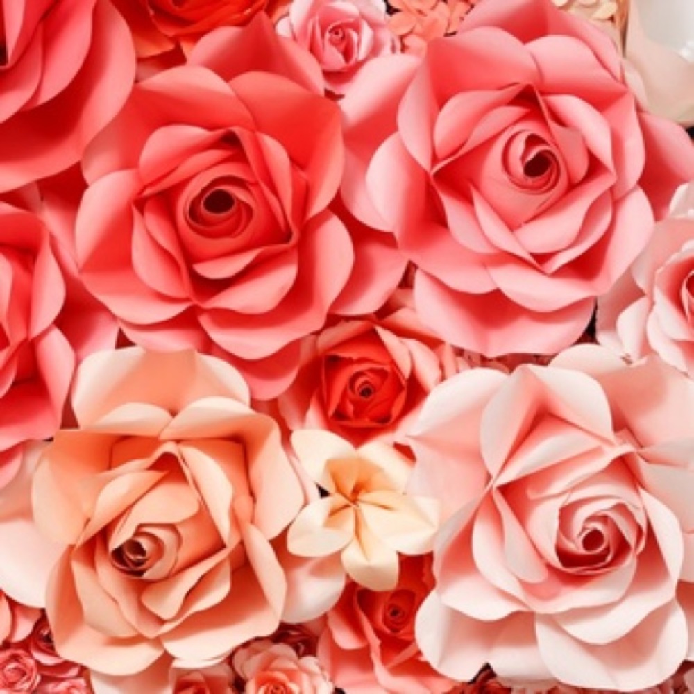 3 for $30. Anything kid clothing with **stars**